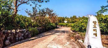 Angkure Holiday home *